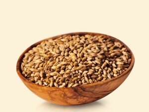 Солод ячменный светлый неферментированный 100 гр